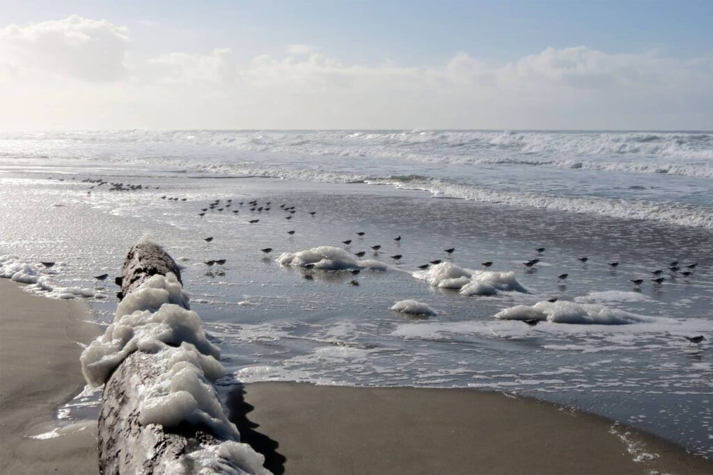 Manzanita Beach at Winter
