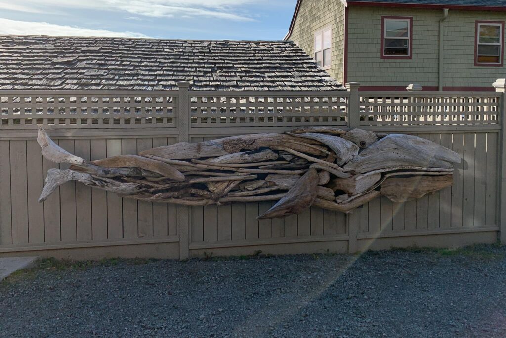 Manzanita Driftwood Art