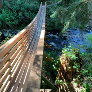 Bridge.-copy