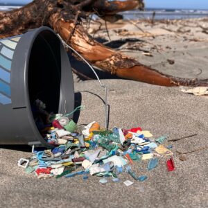Ocean-Steward-2 (1)