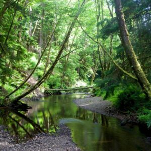 Ecola-River-Preserve-Zoomdak